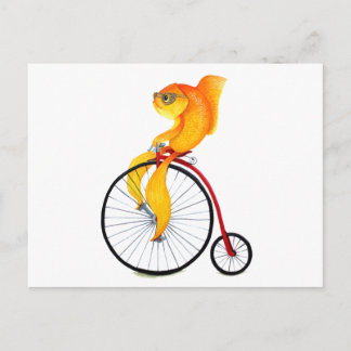 Penny Farthing Fish Postcard