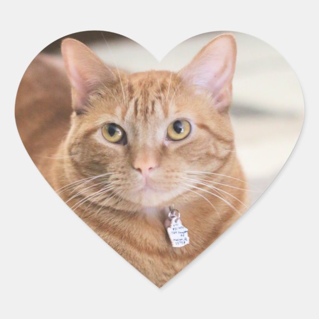 Penny Heart Sticker (Front)