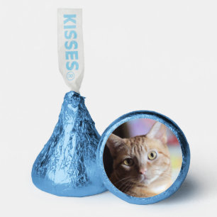 Penny Hershey®'s Kisses®