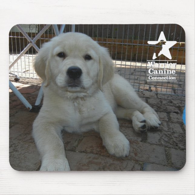 Penny Mousepad (Front)