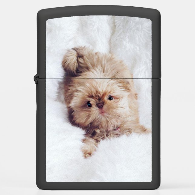 Penny orange liver Shih Tzu puppy Zippo lighter (Front)
