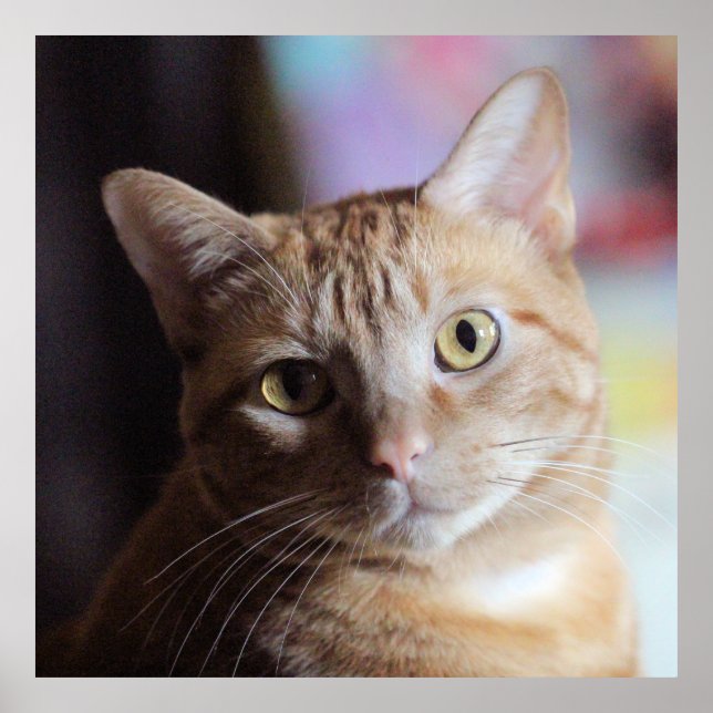 Penny Poster (Front)