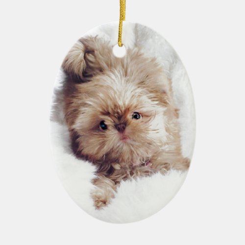 Penny the orange liver Shih Tzu on Cloud 9 Ceramic Ornament