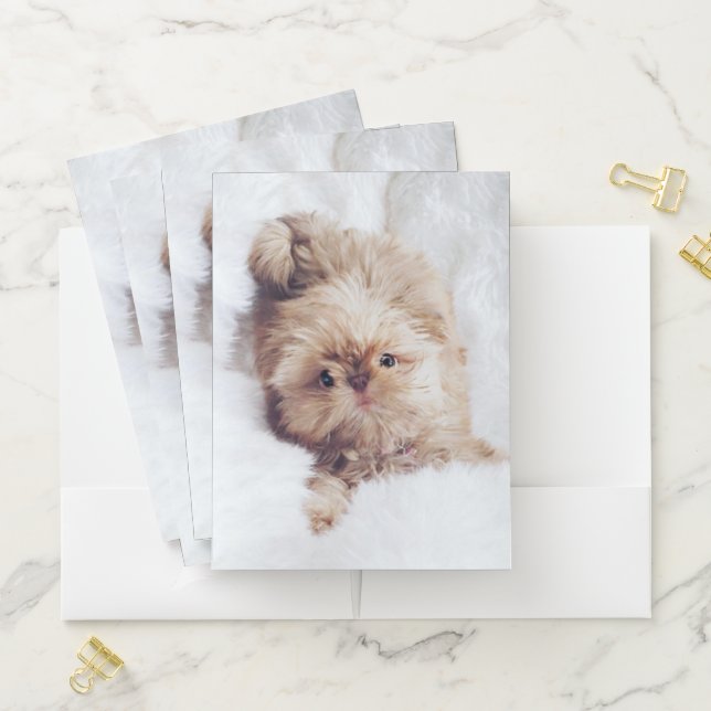 Penny the orange liver Shih Tzu puppy pocket folde Folder (In Situ)