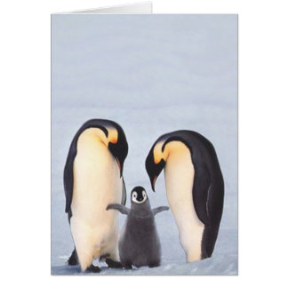 Penquin Family Cards