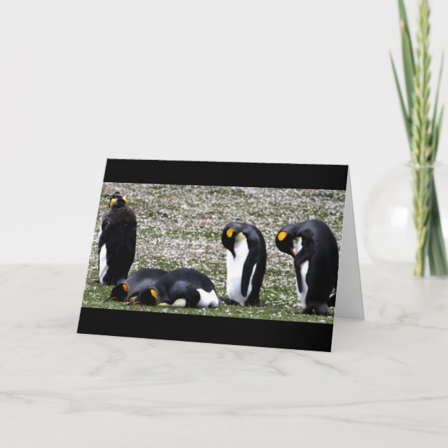 Penquin Mondays Notecard (Front)