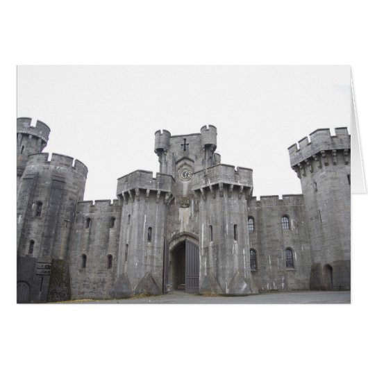 Penrhyn castle. cards (Front Horizontal)