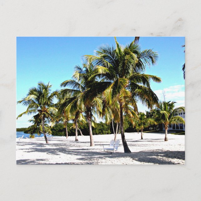 Pensacola Beach  Postcard (Front)