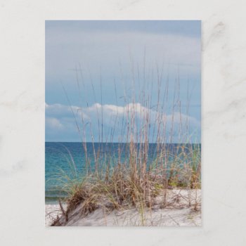 Pensacola Beach Postcard by Mechala at Zazzle