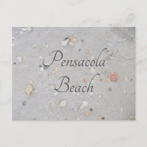 Pensacola Beach Sand Shells Pensacola FL Postcard