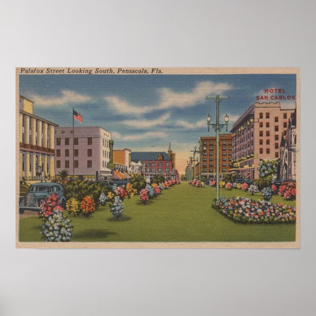 Pensacola, FL - South View of Palafox Poster (Front)