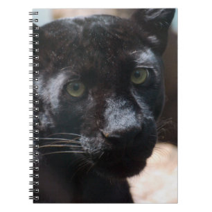 Pensive Black Panther Notebook