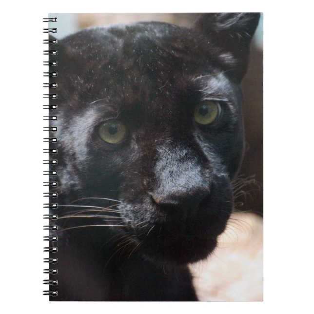 Pensive Black Panther Notebook (Front)