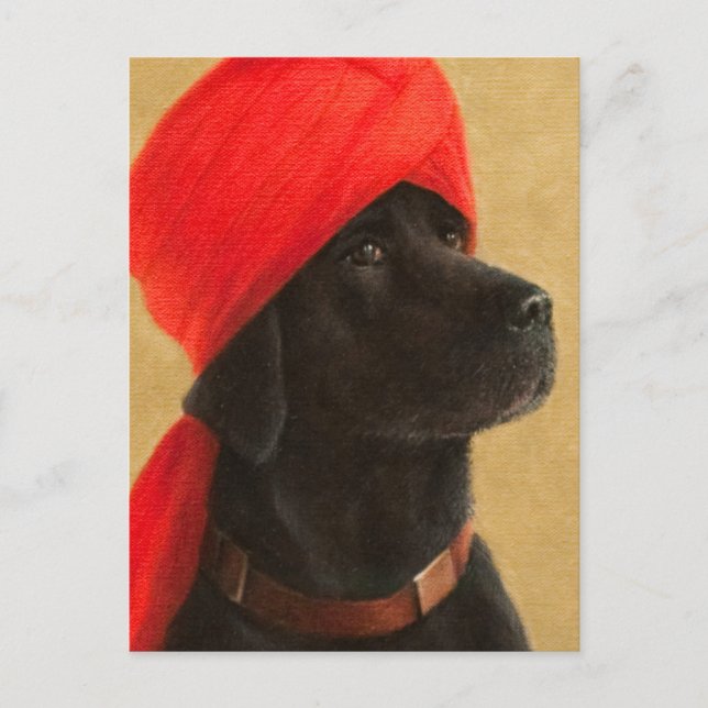 Pensive Maharaja 2010 Postcard (Front)