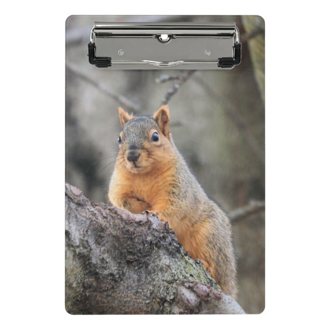 Pensive Mini Clipboard (Front)