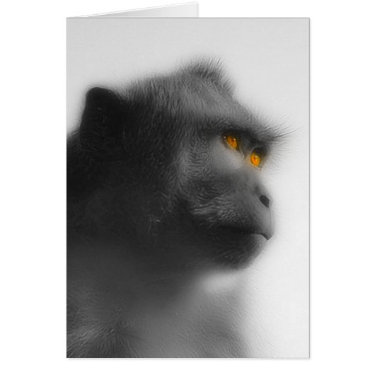 Pensive Monkey Cards (Front)