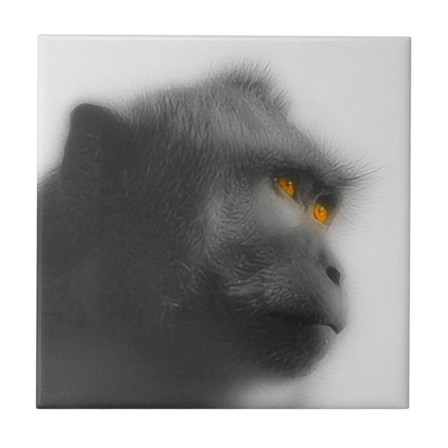 Pensive Monkey Tile (Front)
