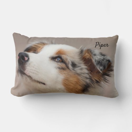 Pensive Pet Photo Personalized Pet Name  Lumbar Pillow