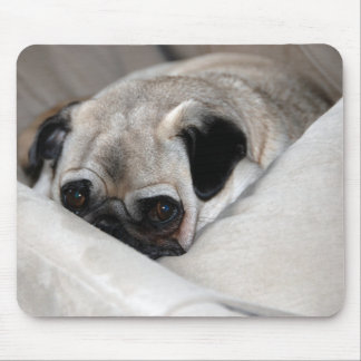 Pensive Pug Mouse Pad