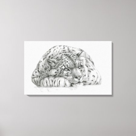 Pensive Snow Leopard By S. Ledneva-schukina G008 Canvas Print
