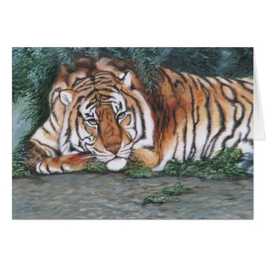"Pensive Tiger" (Front Horizontal)