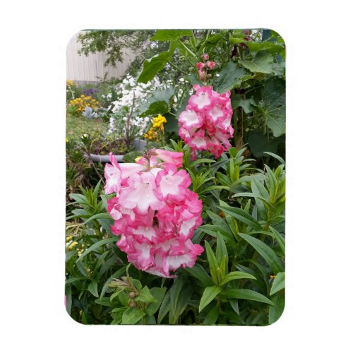 Penstemon Flower Garden floral Birthday Magnet