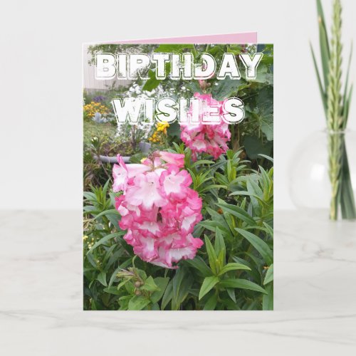 Penstemon Flower Garden floral Happy Birthday Card