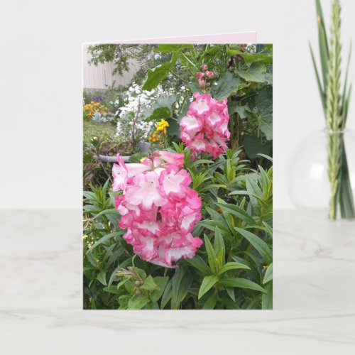 Penstemon Flower Garden floral Happy Birthday Card
