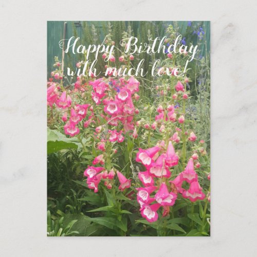 Penstemon Flower Garden floral Happy Birthday Postcard