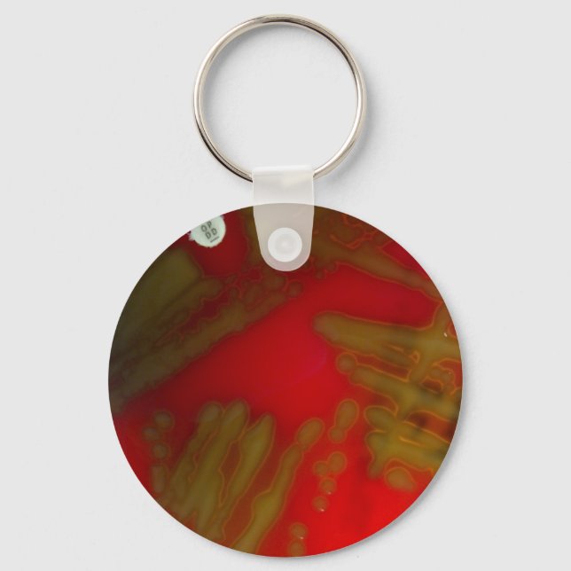 Penumonia Bacteria Keychain (Front)