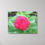 Peonie After Rain Wrapped Canvas at Zazzle