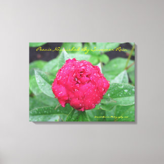 Peonie After Rain Wrapped Canvas Print