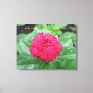 Peonie After Rain Wrapped Canvas Print