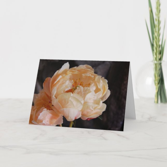 Peonies 6 card (Front)