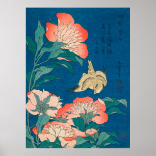 Peonies and Canary Poster