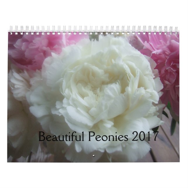Peonies Calendar 2017 (Cover)