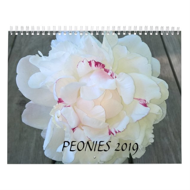Peonies Calendar 2019 (Cover)