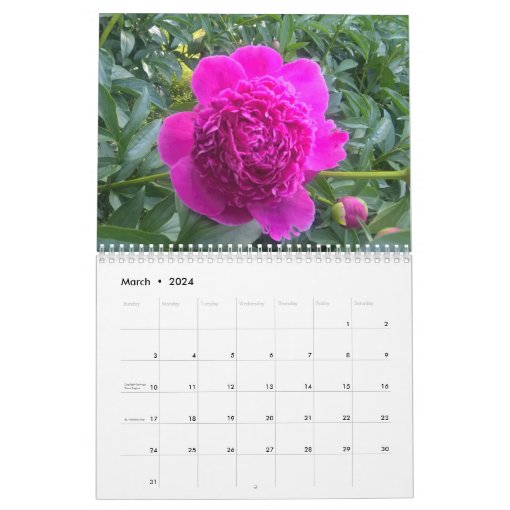 Peonies Calendar 2021 | Zazzle