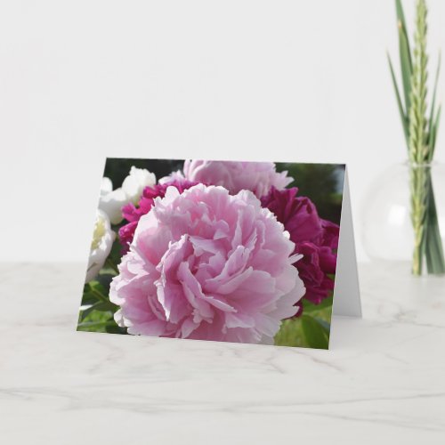 Peonies Card