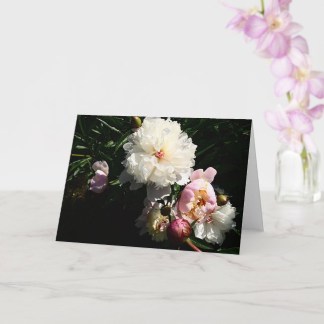 Peonies Card (Orchid)