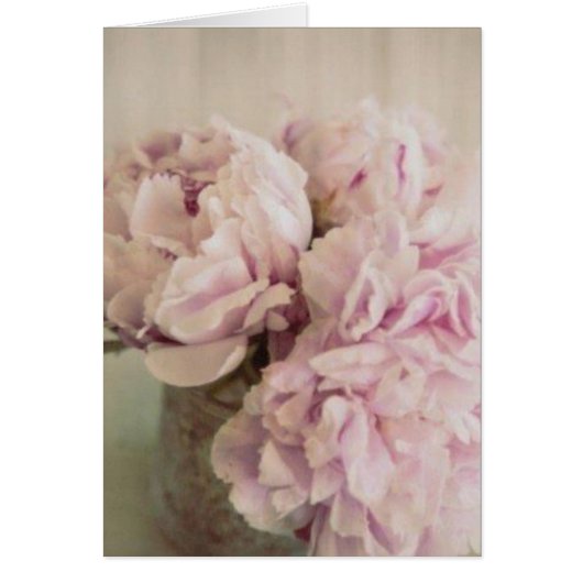 Peonies Cards (Front)