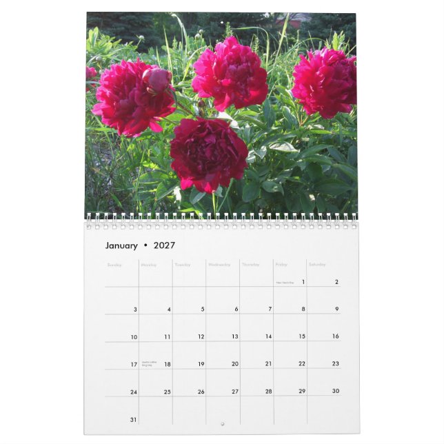 Peonies Flower Calendar 2013 (Jan 2027)