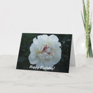 Peonies Happy Birthday Card
