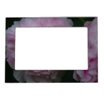 Peonies Magnetic Picture Frame