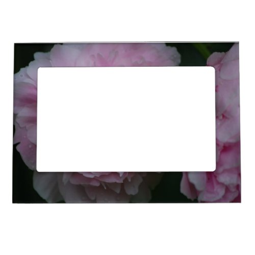 Peonies Magnetic Picture Frame