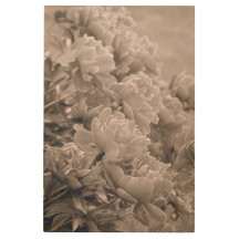 Peonies Multiple in Sepia