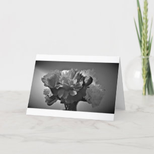 Peonies / Noir, card