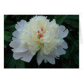 Peony (Front Horizontal)