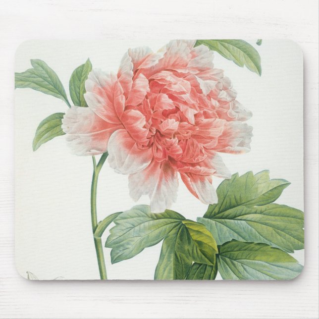 Peony, 1799 (colour stipple print) mouse pad (Front)