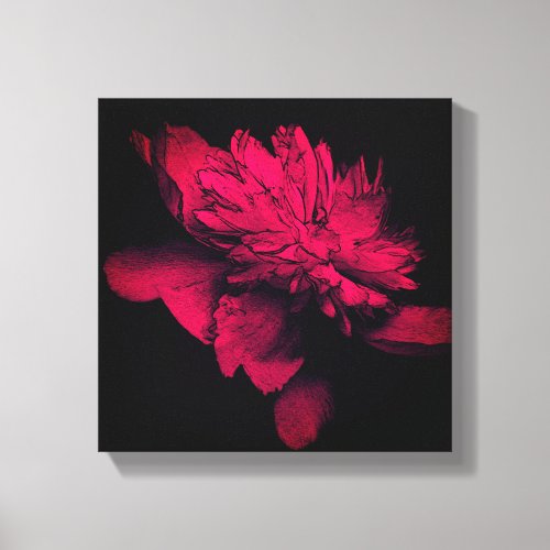 Peony Abstract Floral Art  Canvas Print